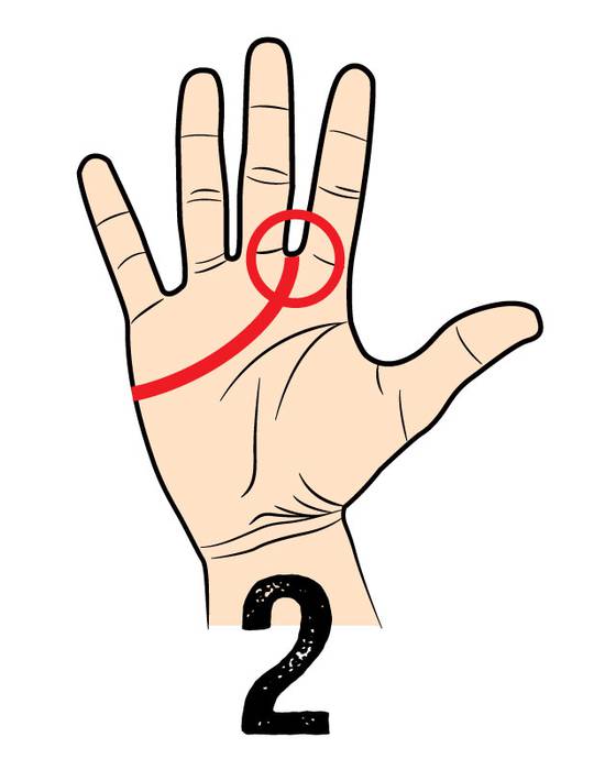 02. 優しくて信頼あるタイプ （人を信じすぎちゃう） 人差し指と中指の間にラインが伸びている人