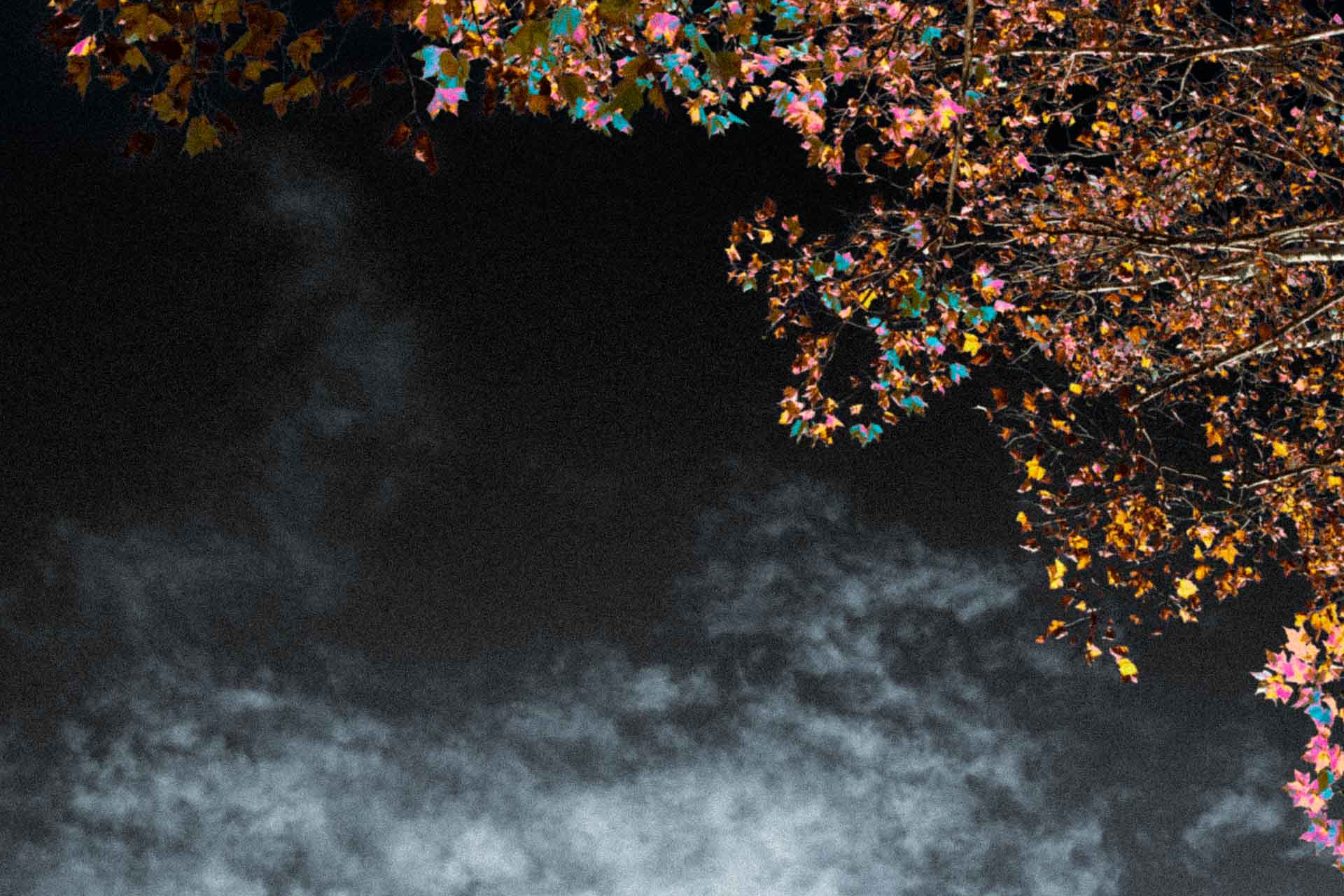 紅葉の季節に撮影した空